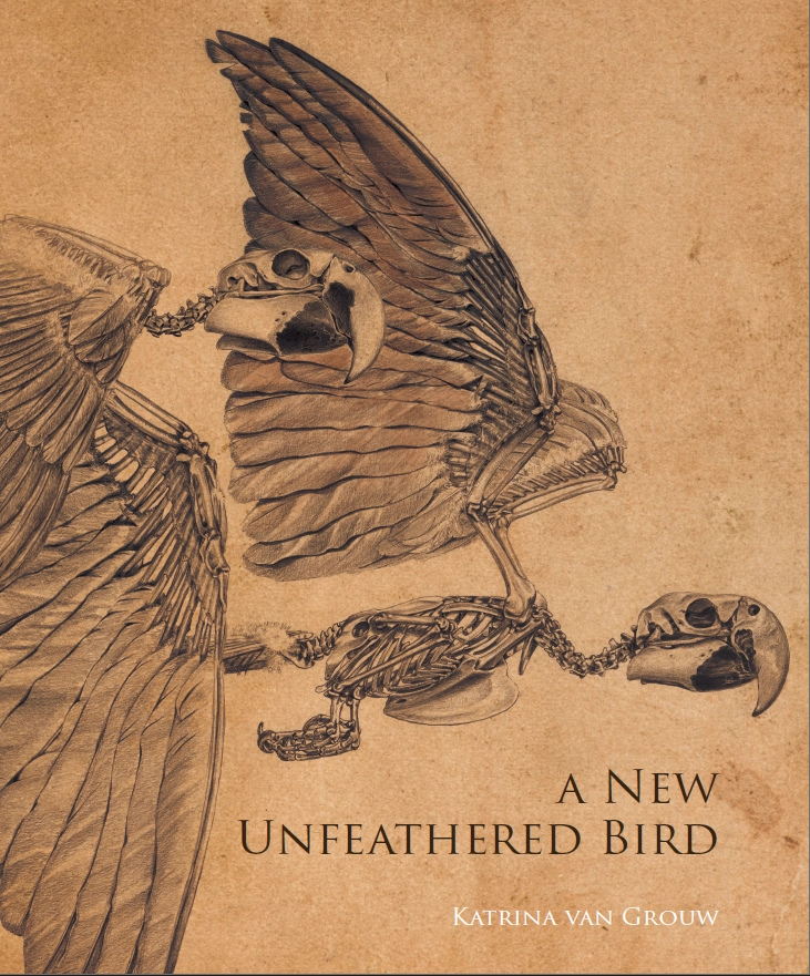 The Unfeathered Bird cover artwork